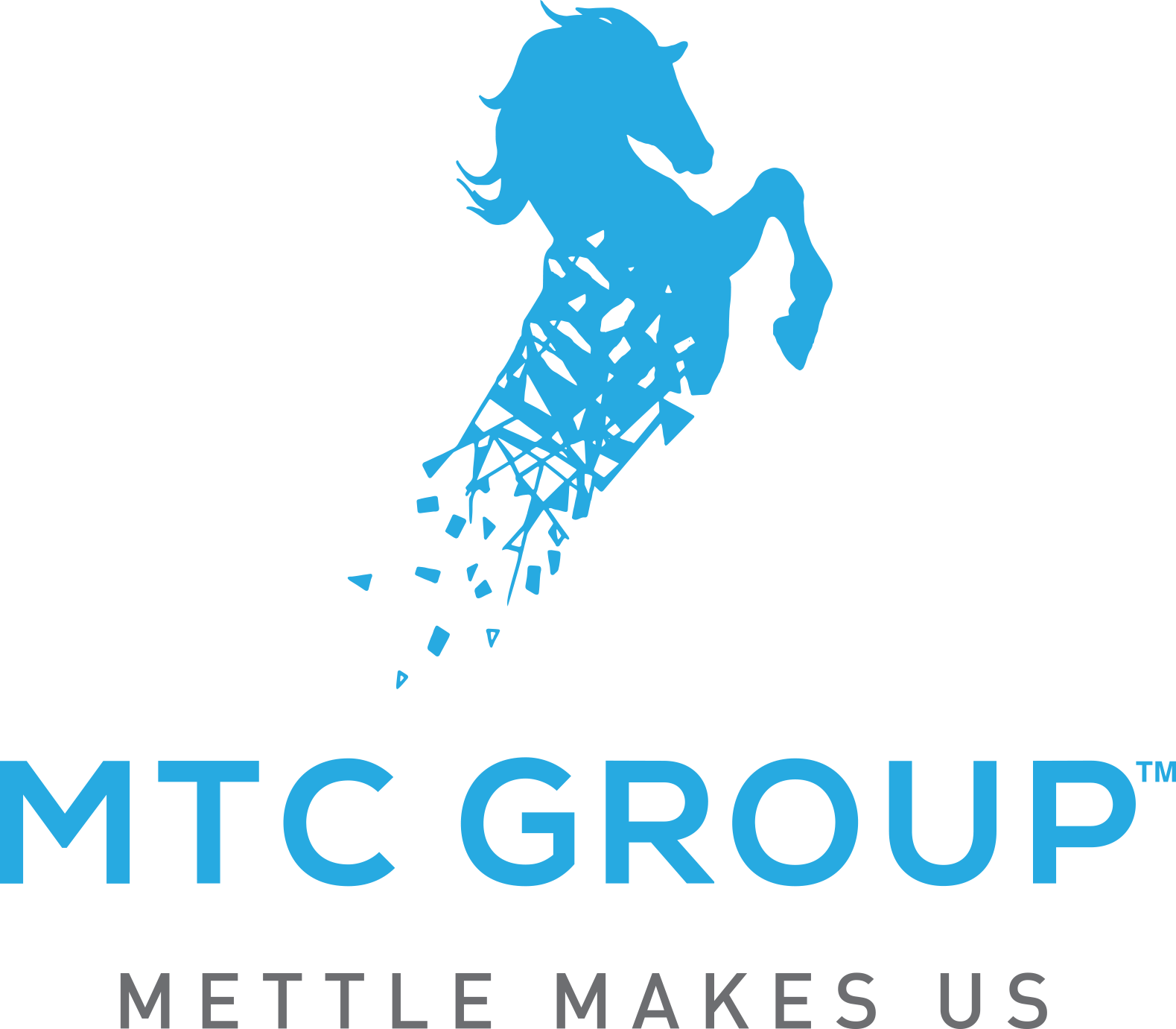 MTC Group Overseas
